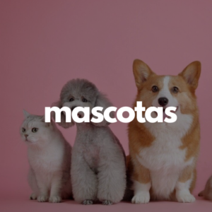 Mascotas